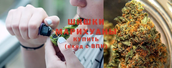 тгк Новодвинск