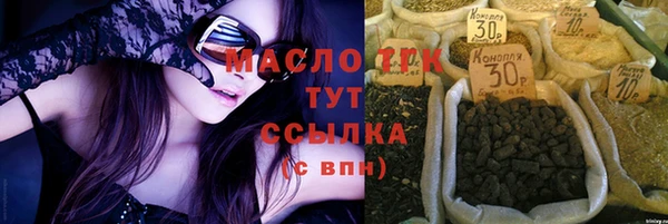 тгк Новодвинск