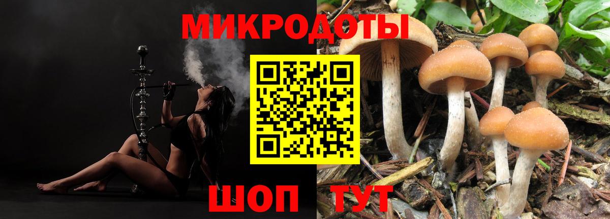 Псилоцибиновые грибы Psilocybe  Галлюциногенные грибы MAGIC MUSHROOMS  Березники  Вход с VPN 